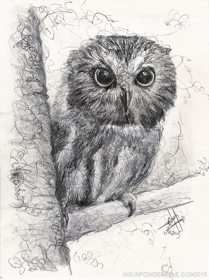 Owl for Liz Osman W730